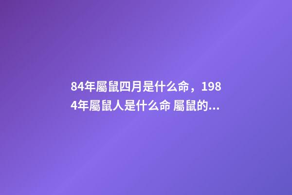 84年屬鼠四月是什么命，1984年屬鼠人是什么命 屬鼠的48年生人是什么命，四月出生的人命好不好-第1張-觀點-玄機派